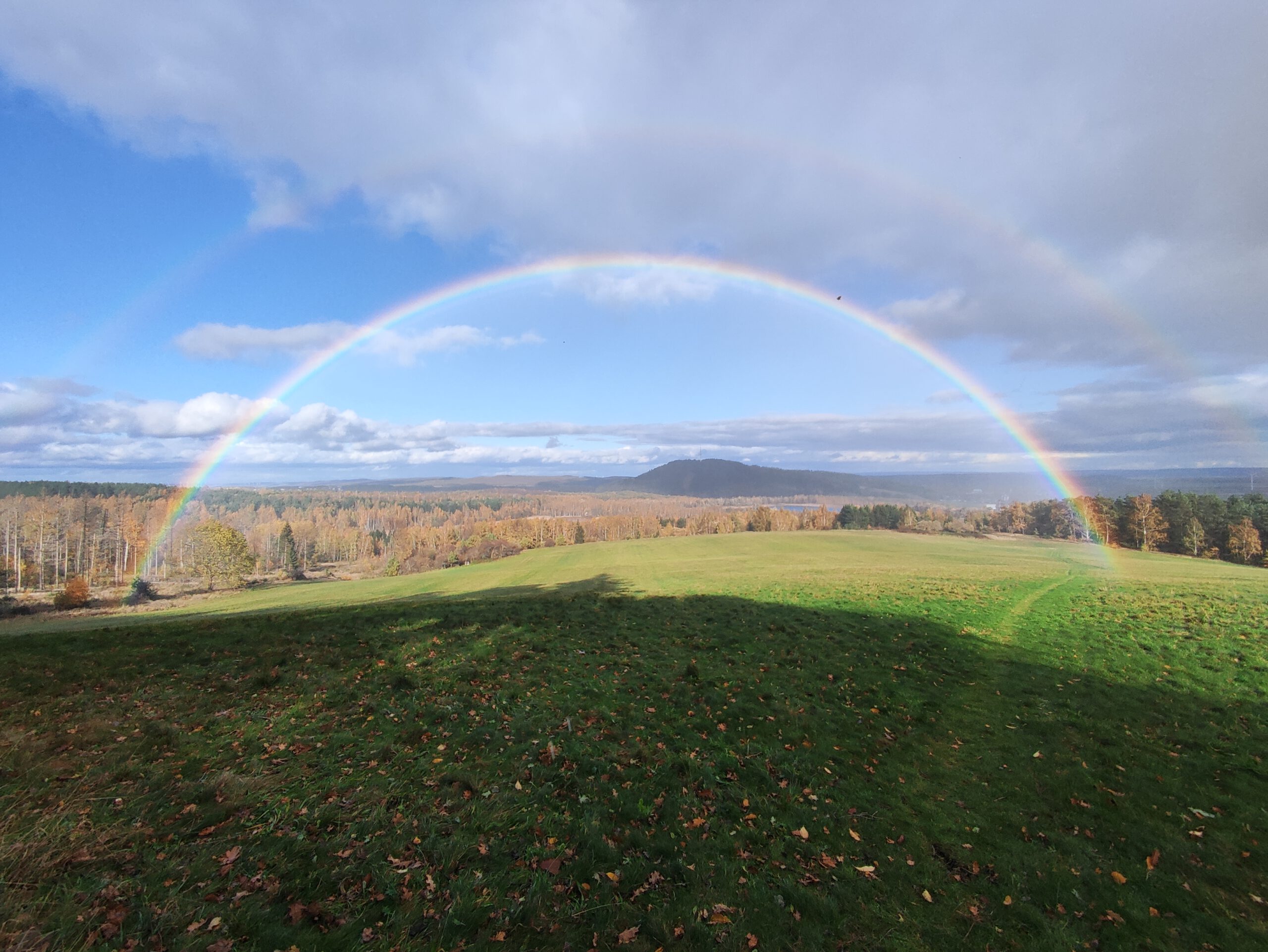 Wandern in Goslar, unser Ferienhaus liegt direkt an mehreren schönen Wanderruten.